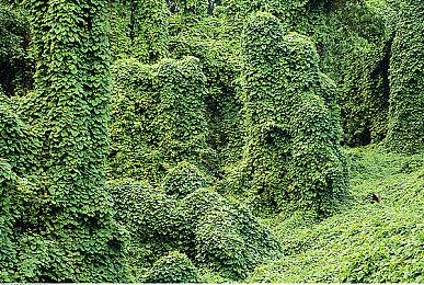 EDG战队夺冠后老板旗下集团发话：队员一人一套房